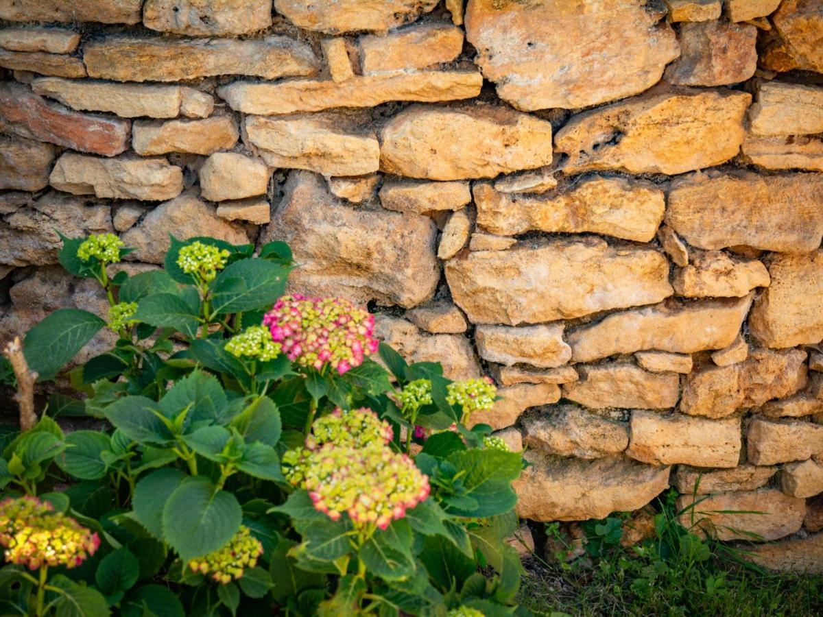 Gite Girou Haut Montcabrier  المظهر الخارجي الصورة